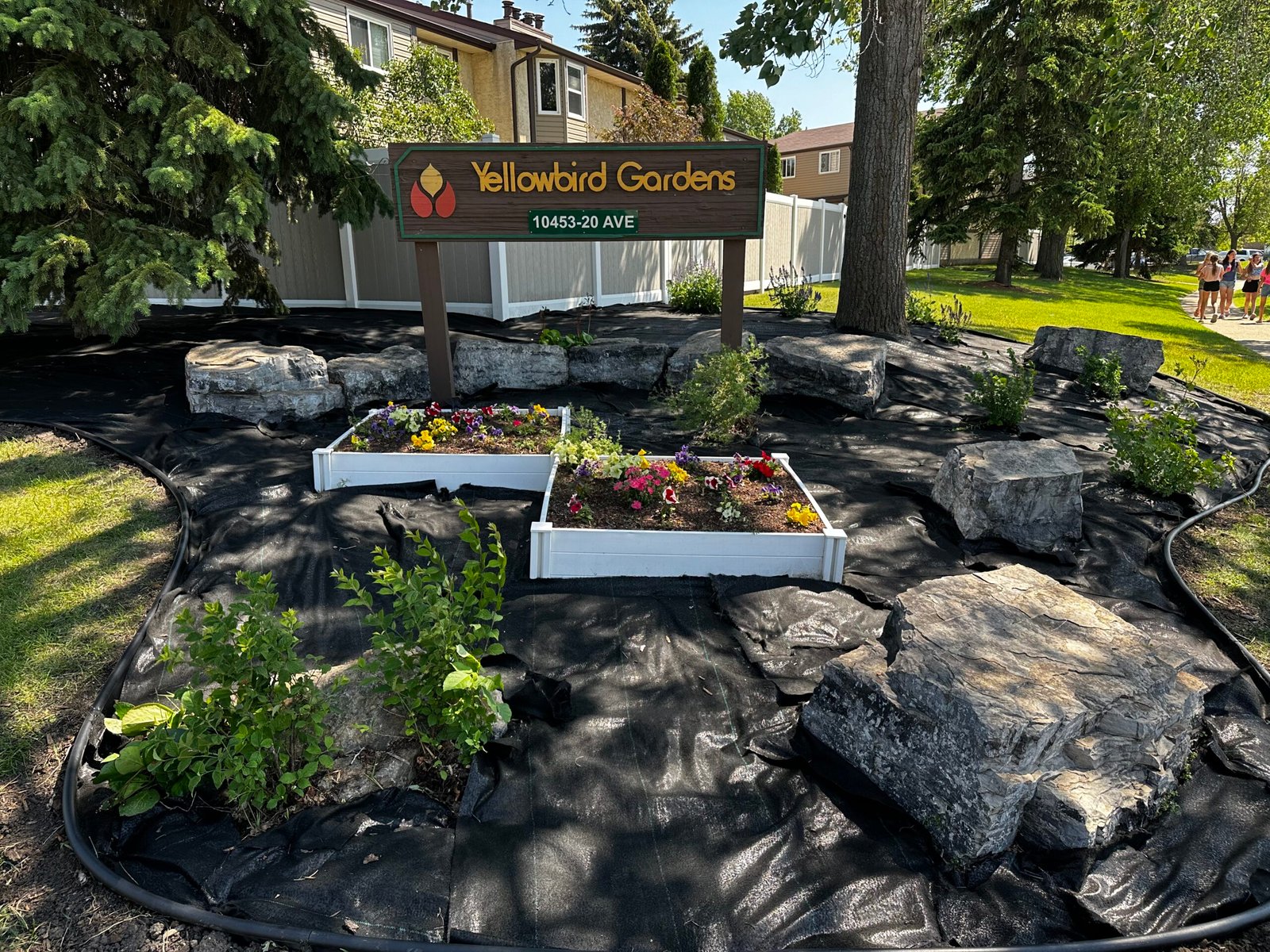 Seasonal Landscape Features