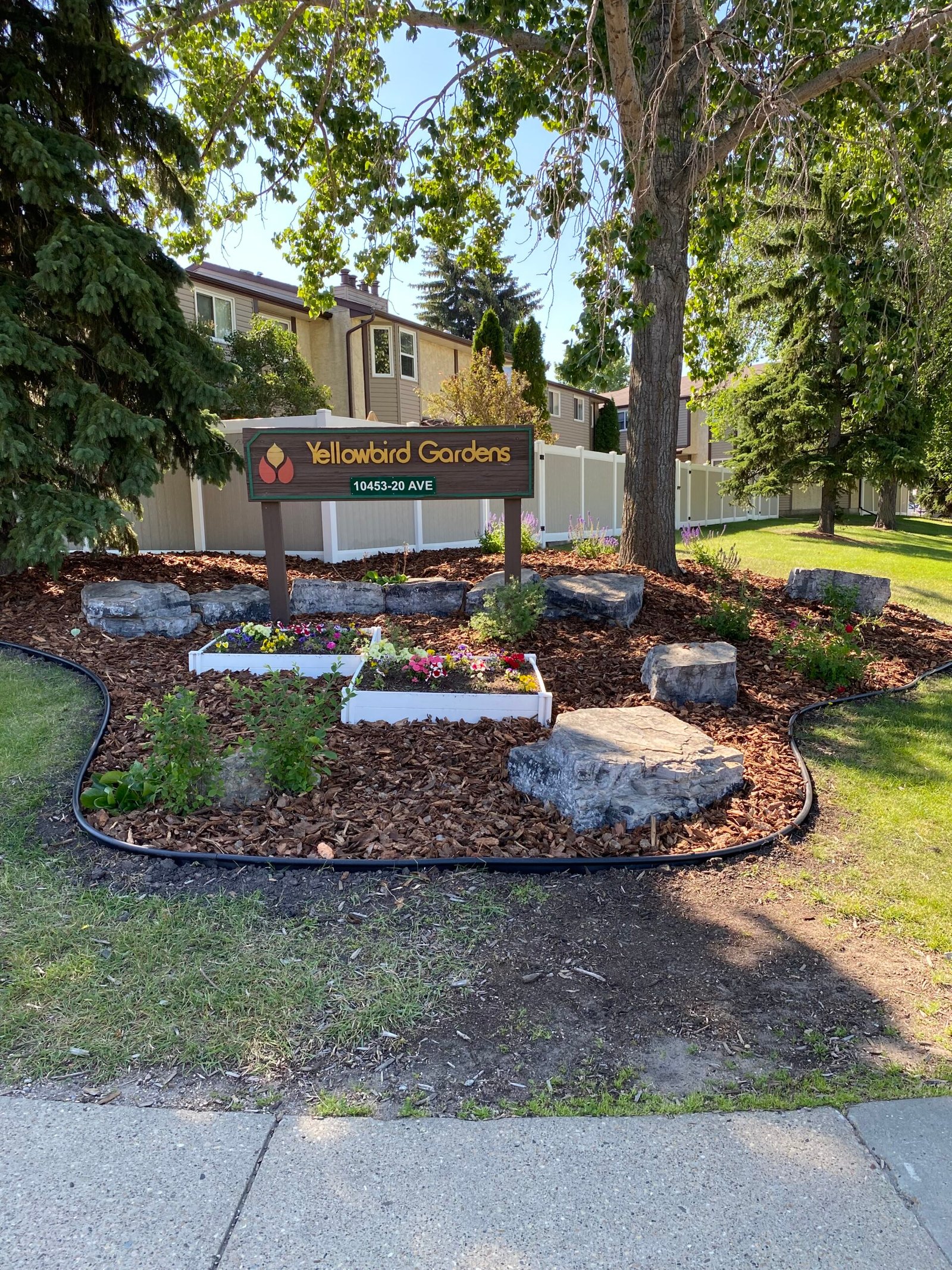 Landscape Bed Restoration