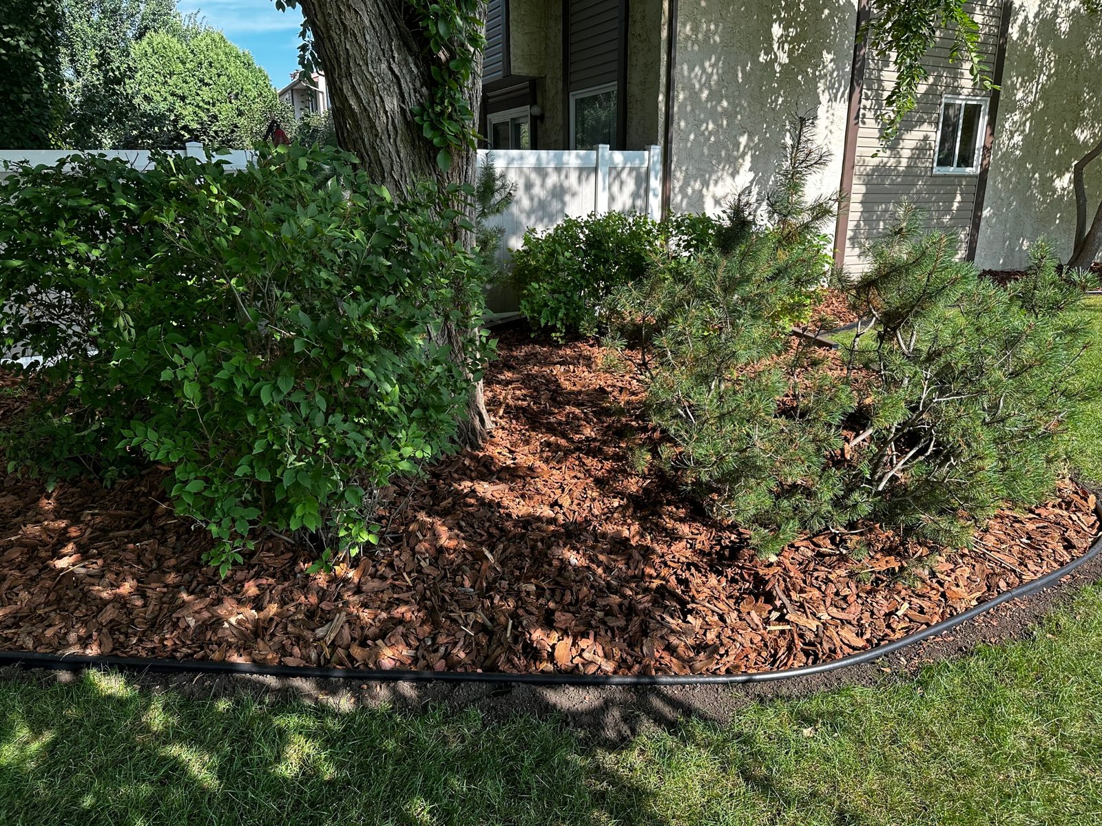 Shrub & Garden Bed Care